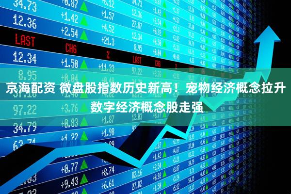 京海配资 微盘股指数历史新高！宠物经济概念拉升 数字经济概念股走强