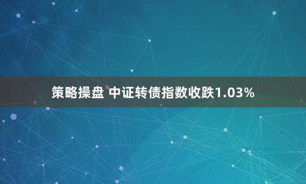 策略操盘 中证转债指数收跌1.03%